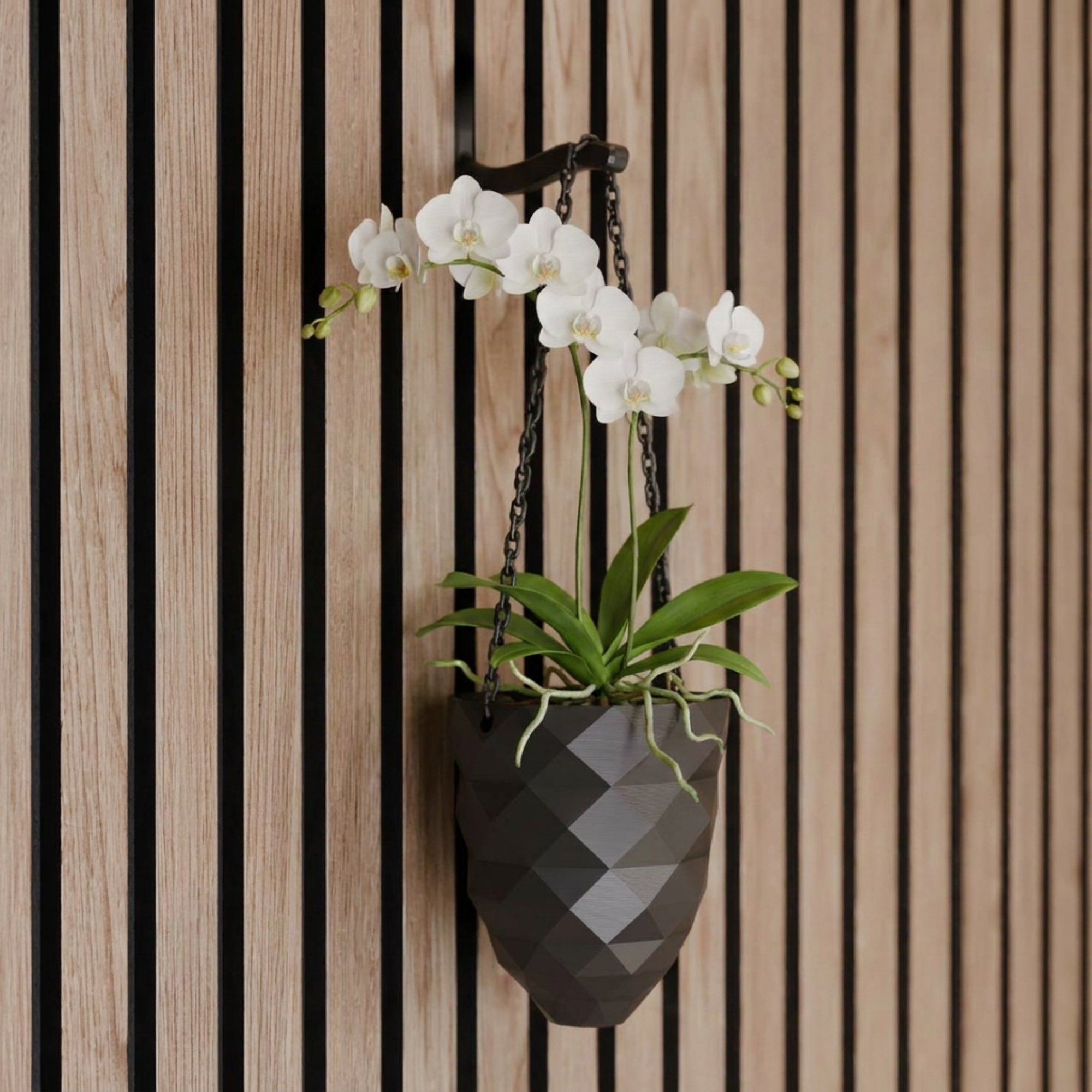 Hanging plant vase - Installation: Wall Clip