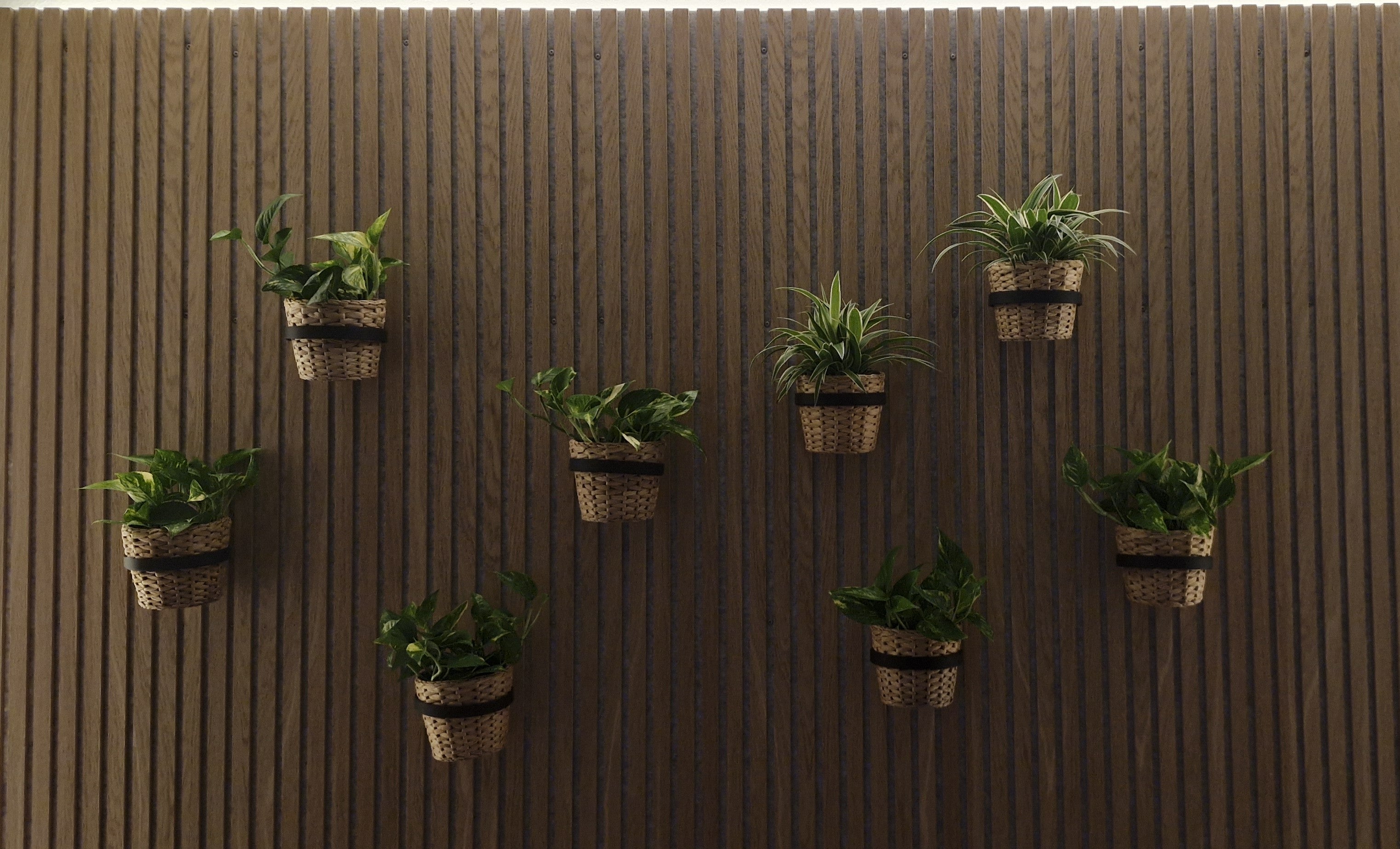 Plant Holder/Ring for Acoustic Panels - Installation Type: Wall Clip