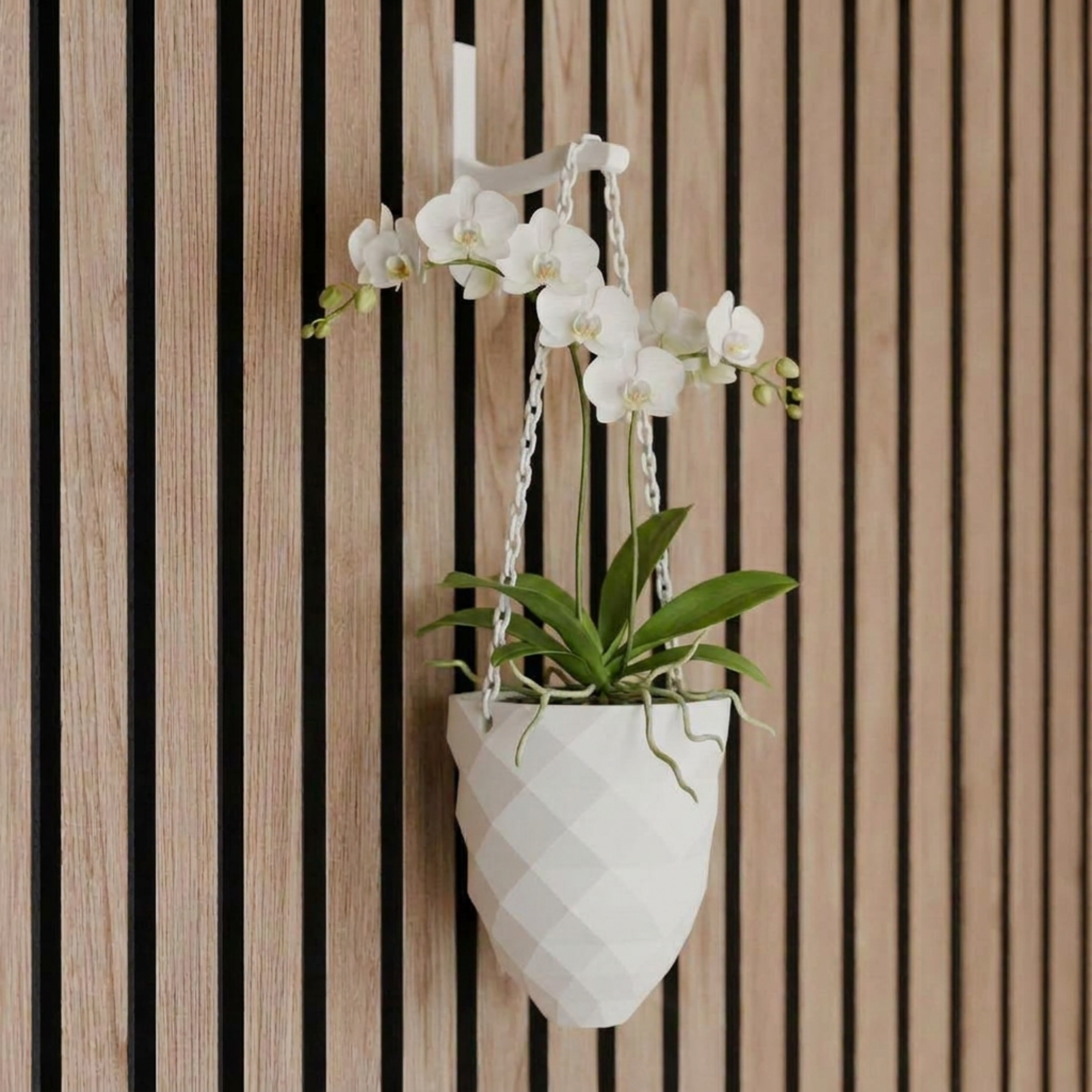 Hangende plantenvaas - Installatie: Muurclip