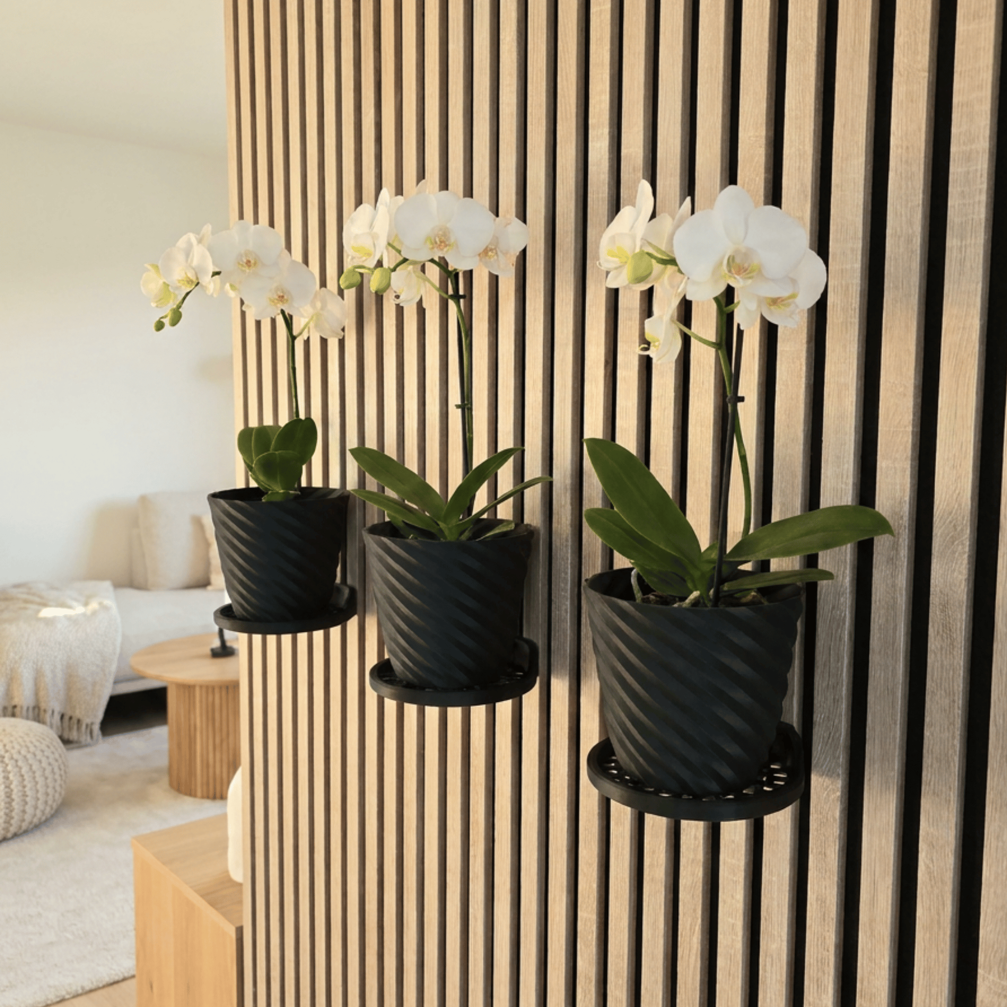 Round Tray/Shelf - Installation: Wall Clip