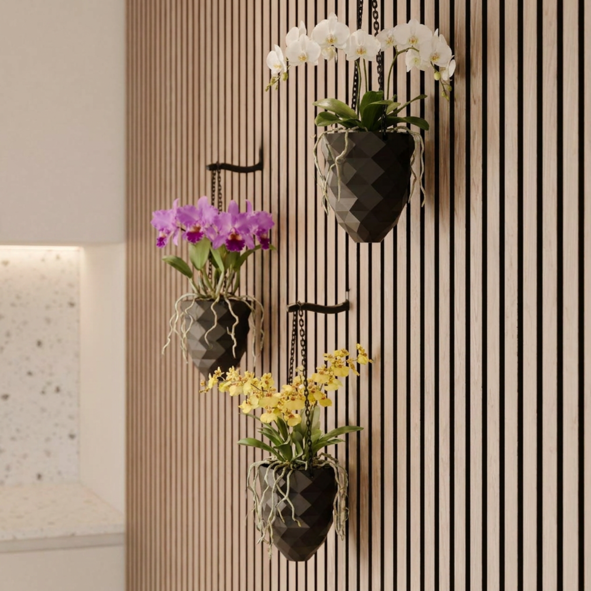 Hanging plant vase - Installation: Wall Clip