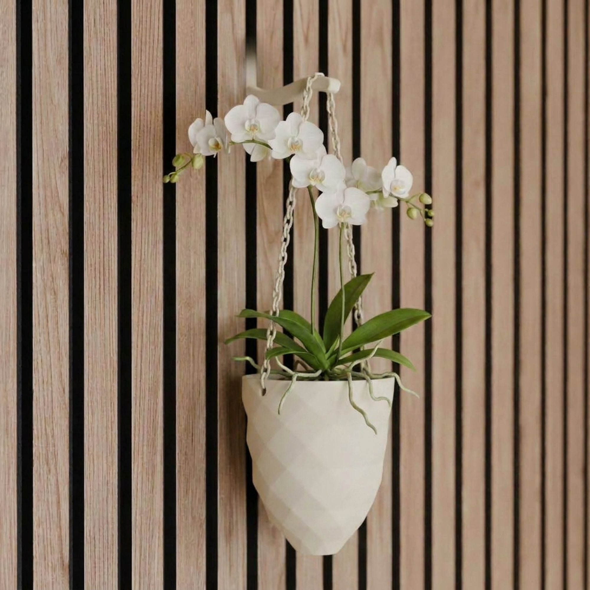 Hangende plantenvaas - Installatie: Muurclip