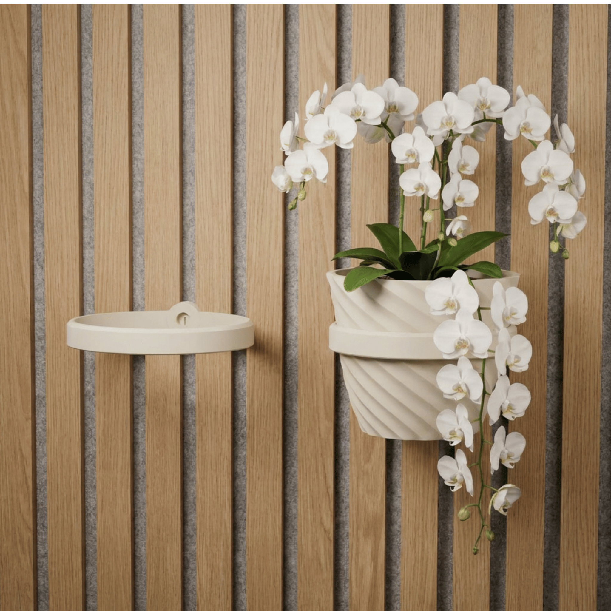 Plant Holder/Ring - Installation: Wall Clip